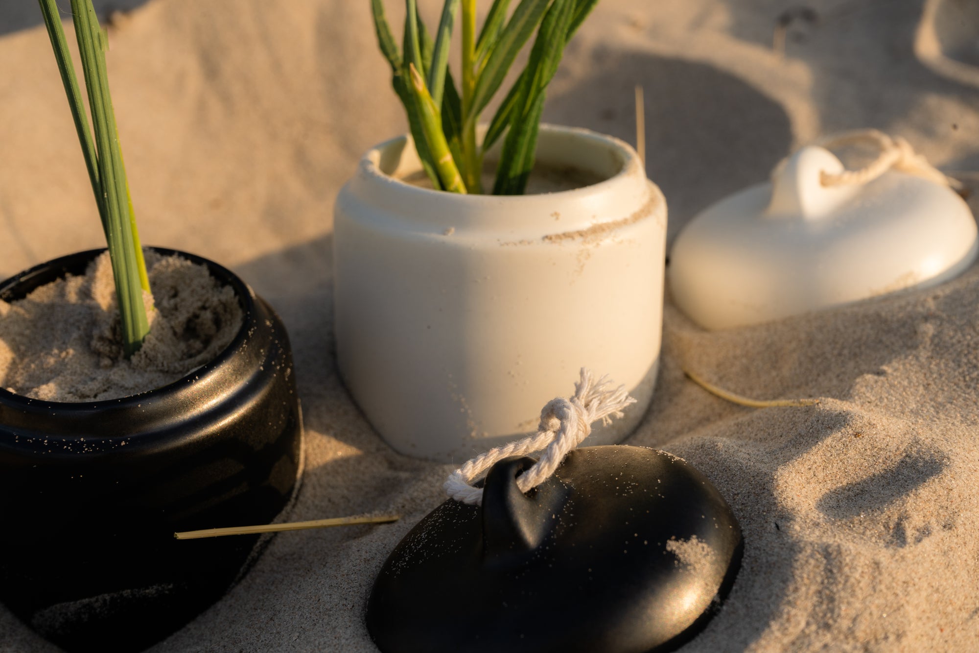 5-in-1 Amber Multi Balm