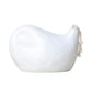 5-in-1 Apricot Exfoliating Face Cleanser